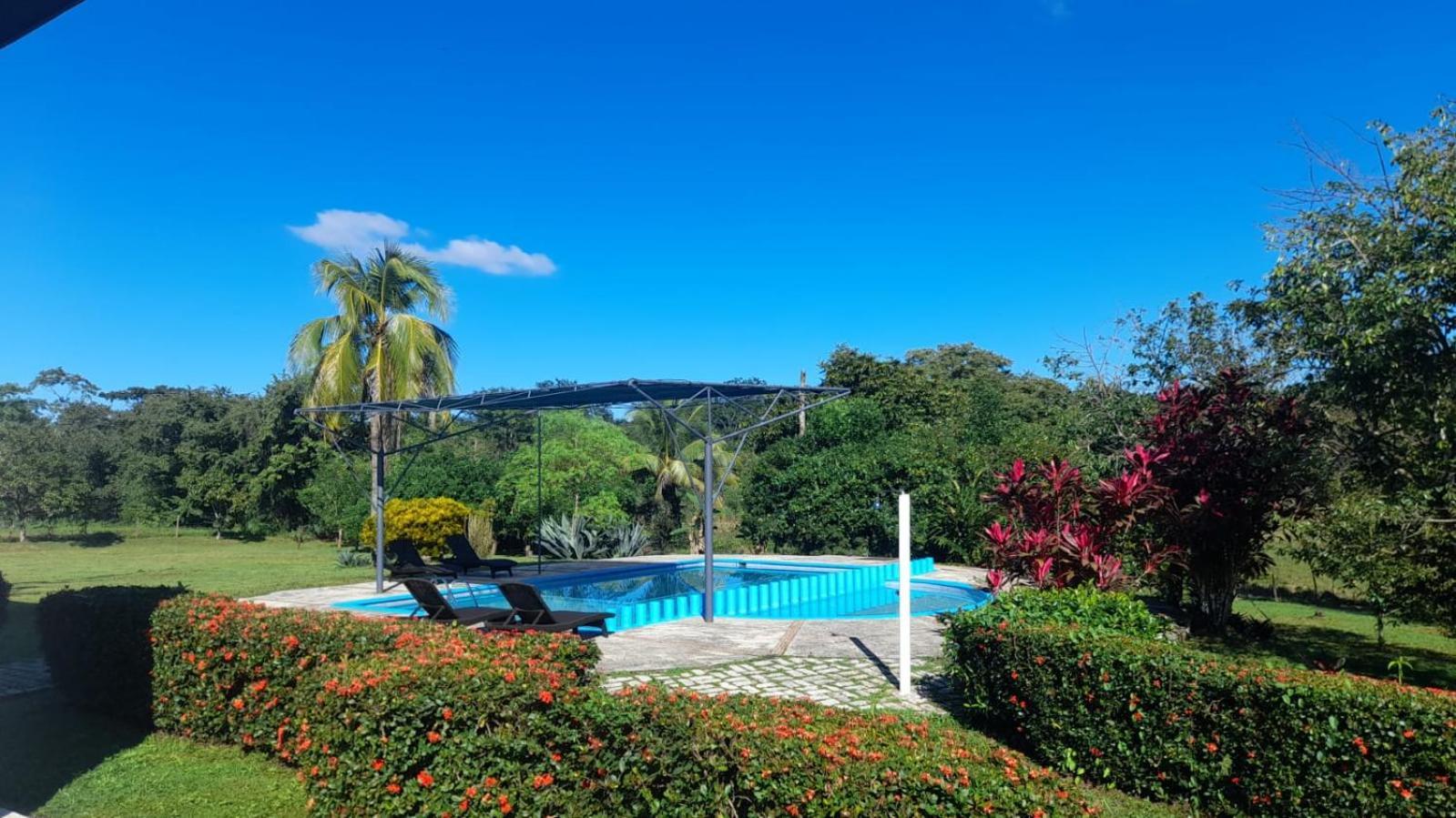 Hotel Los Leones Palenque Exterior photo
