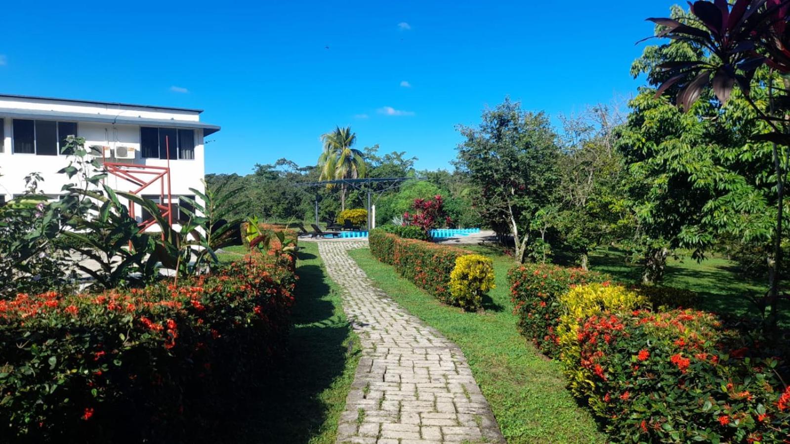 Hotel Los Leones Palenque Exterior photo